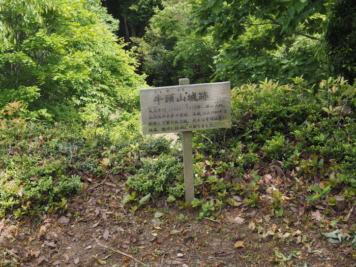 牛頭山登山_c0116915_00490581.jpg