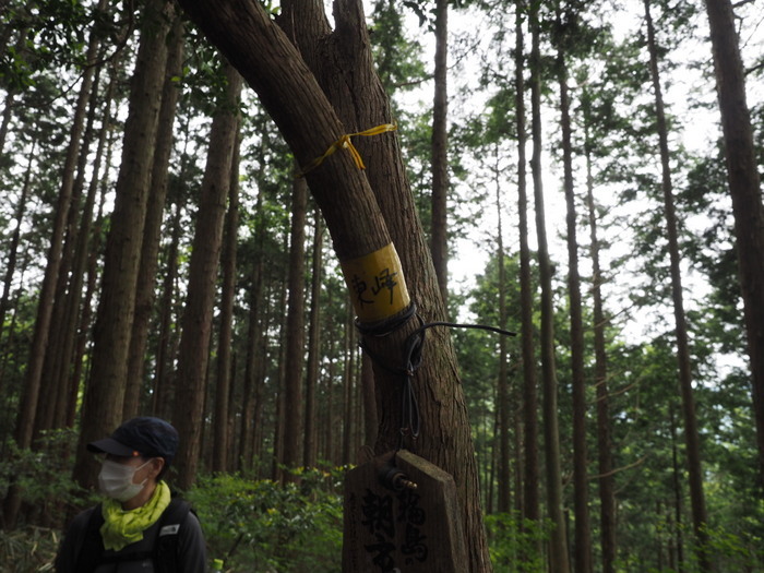 牛頭山登山_c0116915_00505013.jpg