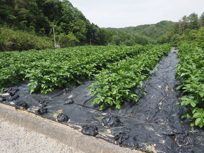 牛頭山登山_c0116915_00532784.jpg