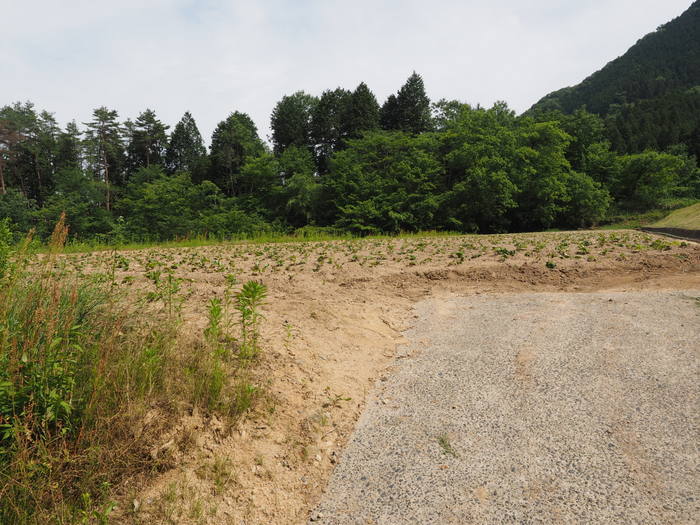 牛頭山登山_c0116915_00535568.jpg