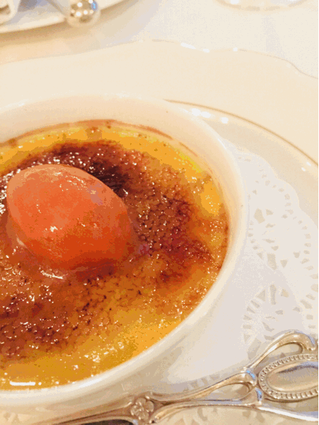 d0101515_12295542.gif