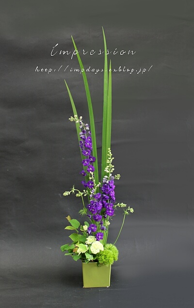 先週の定期装花から ラークスパー シドニーブルー Impression Days 先週の定期装花から ラークスパー シドニーブルー Impression Days