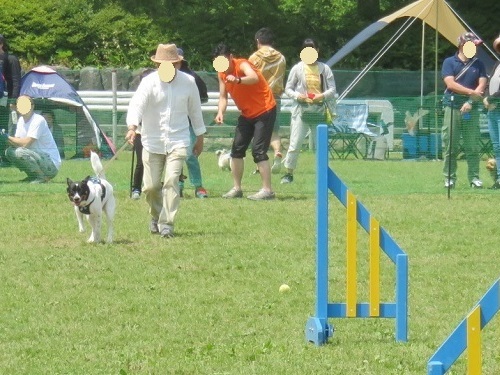 c0084117_20264823.jpg