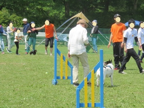 c0084117_20324793.jpg