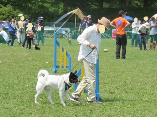 c0084117_20332620.jpg