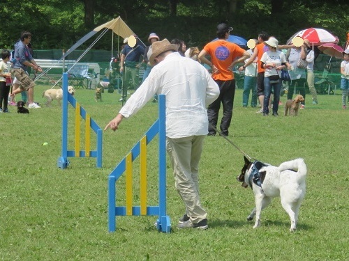 c0084117_20334002.jpg