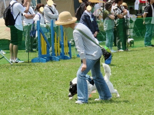 c0084117_20590504.jpg