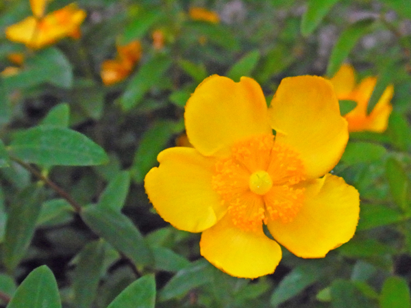 e0083517_01270523.jpg