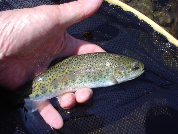 f0280717_14022366.jpg