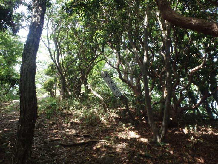 f0193521_5105128.jpg