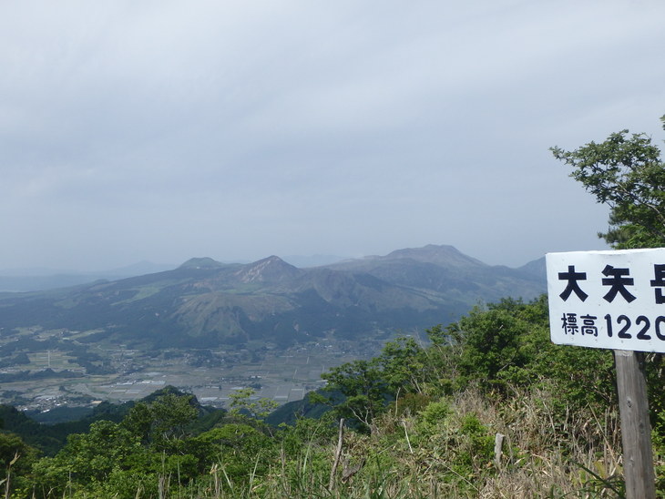 f0193521_561067.jpg