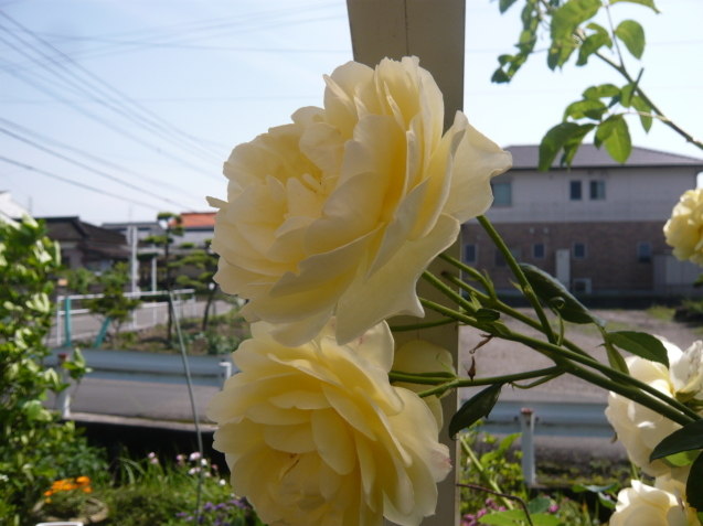 a0206332_07004512.jpg