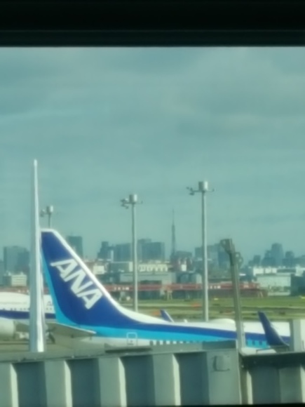 d0269832_10265216.jpeg