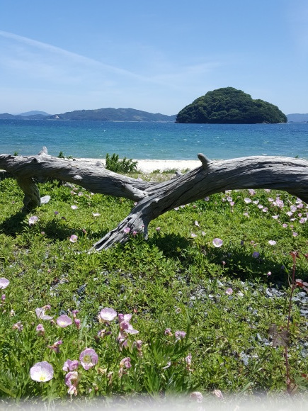d0269832_10364891.jpeg