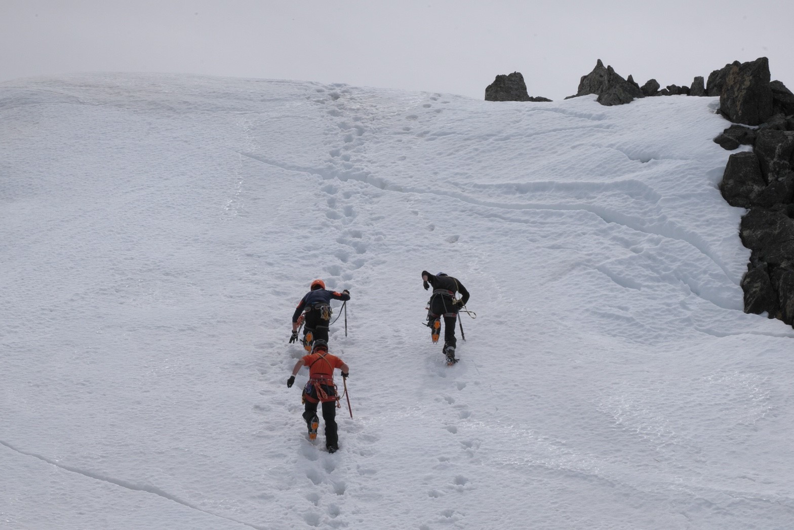 f0182938_15420548.jpg