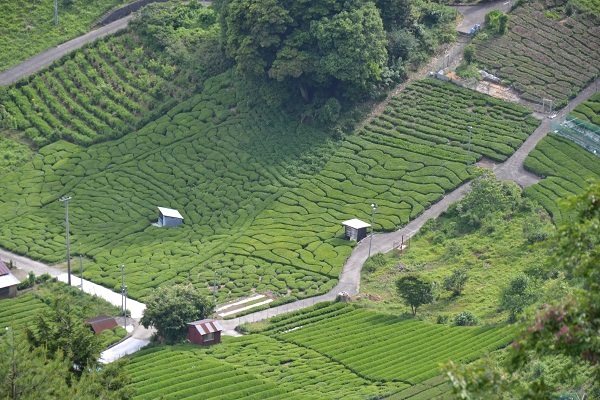 d0282139_14313224.jpg