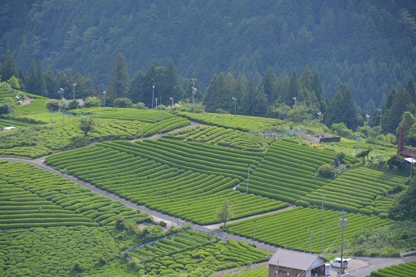 d0282139_14313762.jpg