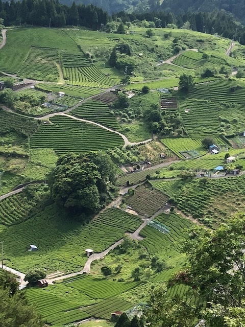 d0282139_14314238.jpg