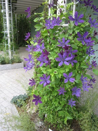 c0025140_21430809.jpg