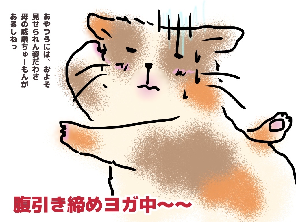 e0387640_11170115.jpeg