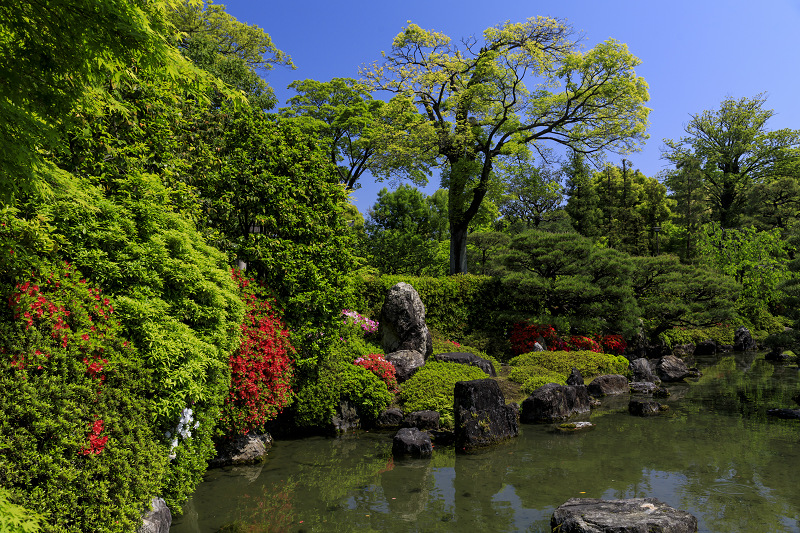 ツツジと春の花咲く城南宮_f0155048_0524499.jpg