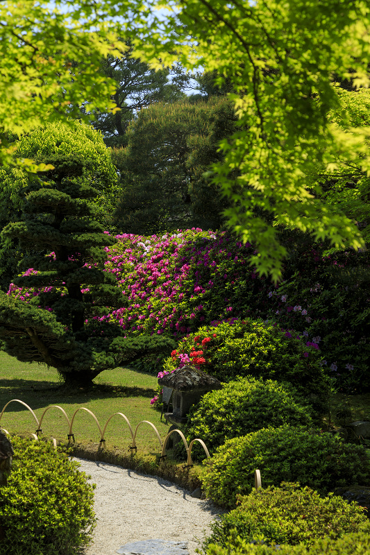 ツツジと春の花咲く城南宮_f0155048_053283.jpg