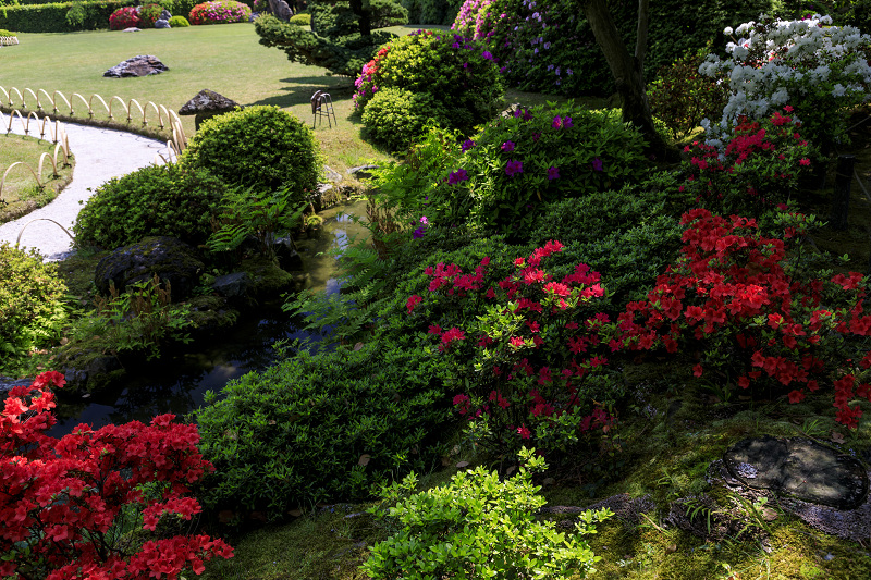 ツツジと春の花咲く城南宮_f0155048_0533728.jpg