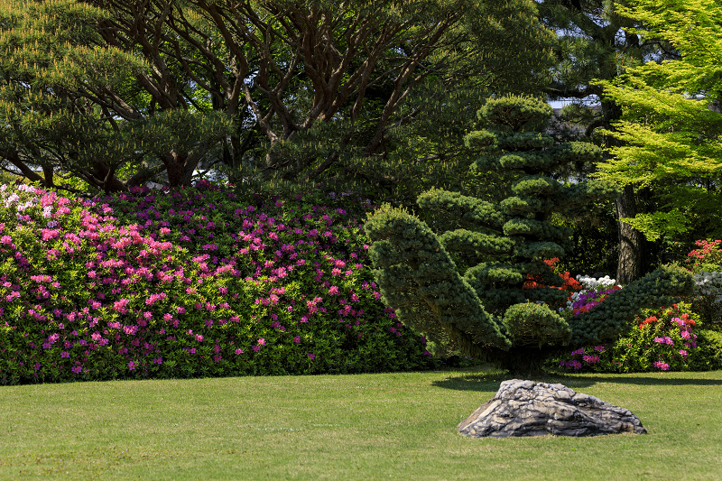 ツツジと春の花咲く城南宮_f0155048_0544923.jpg