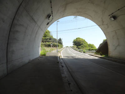 e0033751_124139.jpg