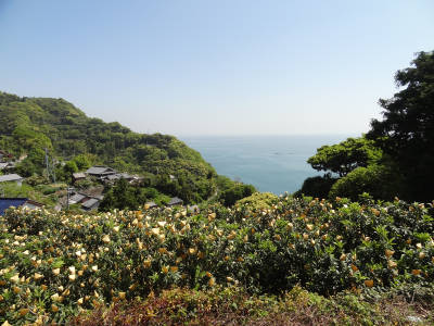 e0033751_124515.jpg