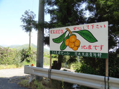 e0033751_124720.jpg