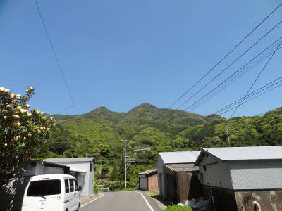 e0033751_124795.jpg