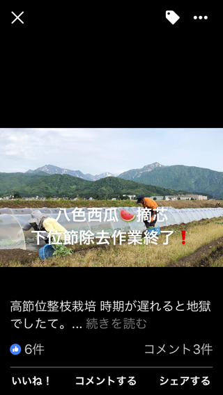 a0346455_05412921.png