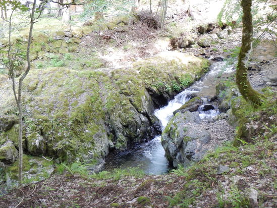 d0231858_1535217.jpg