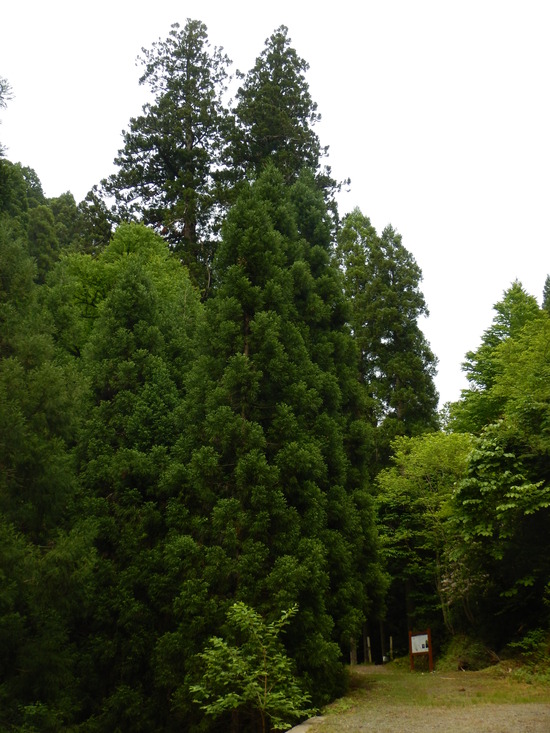 d0231858_15405844.jpg