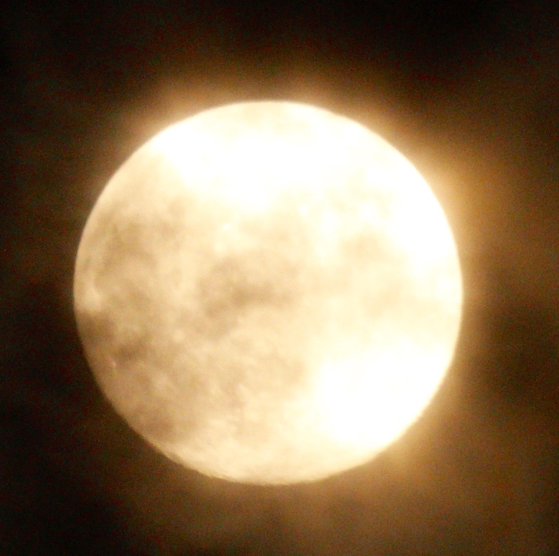 a0248459_13571906.jpg