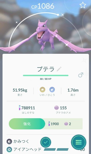 色違いプテラ 無色日記