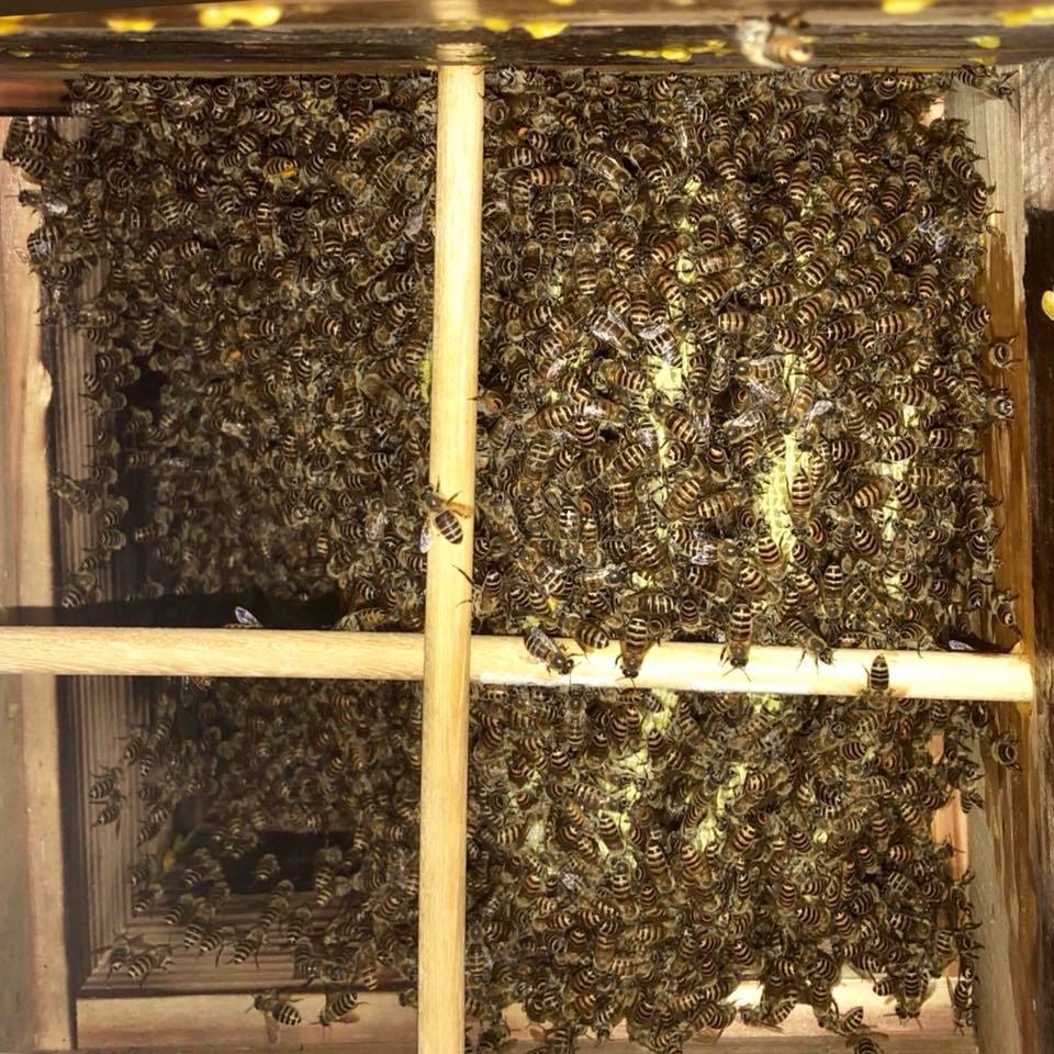 c0123363_9331299.jpg