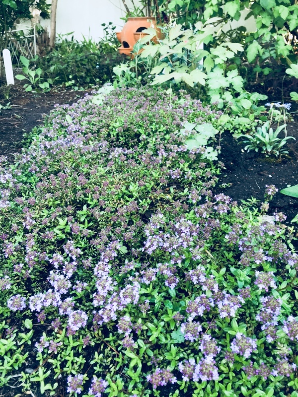 d0320463_18164996.jpeg