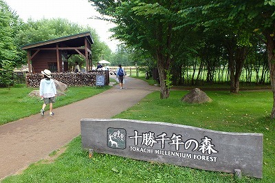b0171771_01104809.jpg