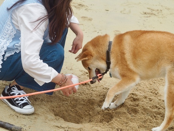 こっちゃん海を渡る　〜２０１８　５月〜　その２。_a0232774_10595628.jpg