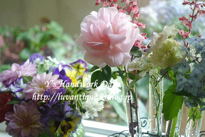 f0330978_09544022.gif