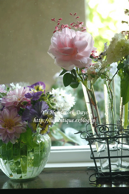 f0330978_09544629.gif