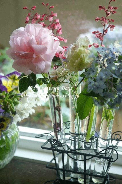 f0330978_09551879.gif