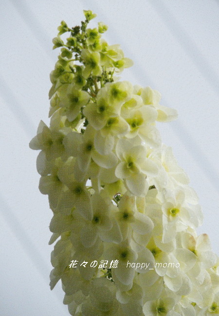c0357781_14254459.jpg