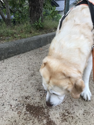 f0315081_22223274.jpeg