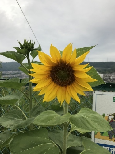 f0315081_22335922.jpeg