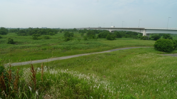 c0212083_18413501.jpg