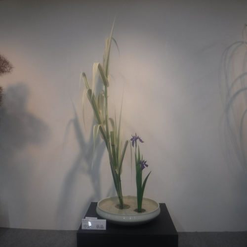 d0195183_00123371.jpeg