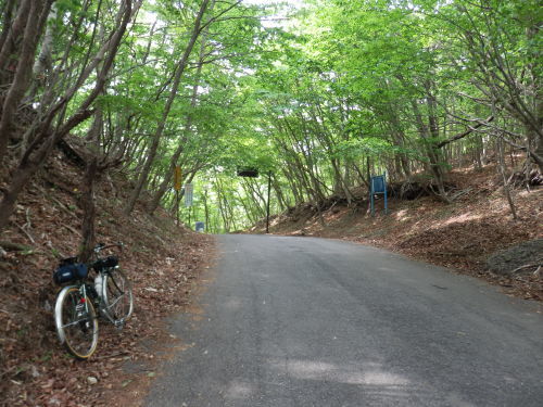 b0334084_07134188.jpg